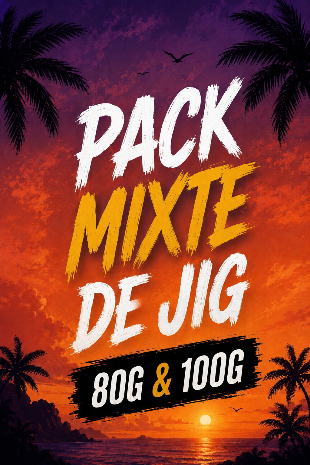 Pack Mixte Jigs 80g & 100g